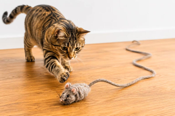 feelz - Spielmaus mit Band für Katze ungefärbte Wolle mit Katze
